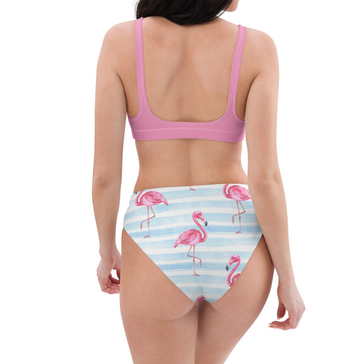 Flamingo Trail High Waisted Bikini