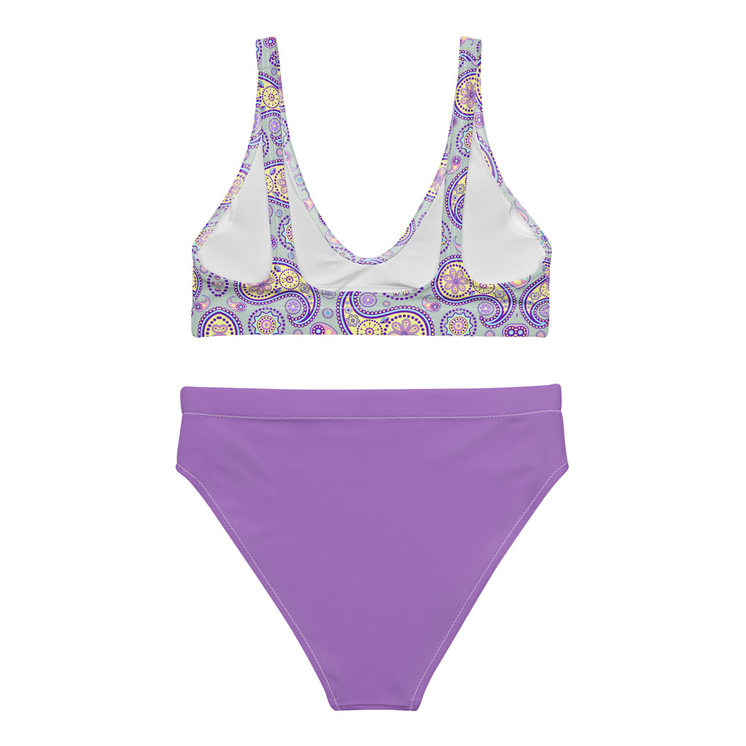 Wisteria Lane High Waisted Bikini