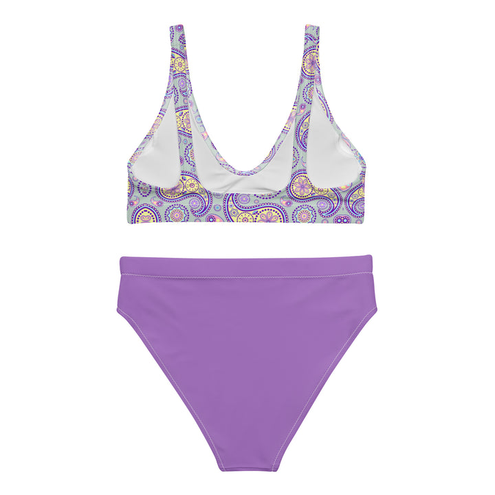 Wisteria Lane High Waisted Bikini